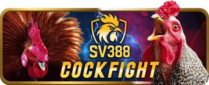 Tính năng độc đáo của 2bongcom